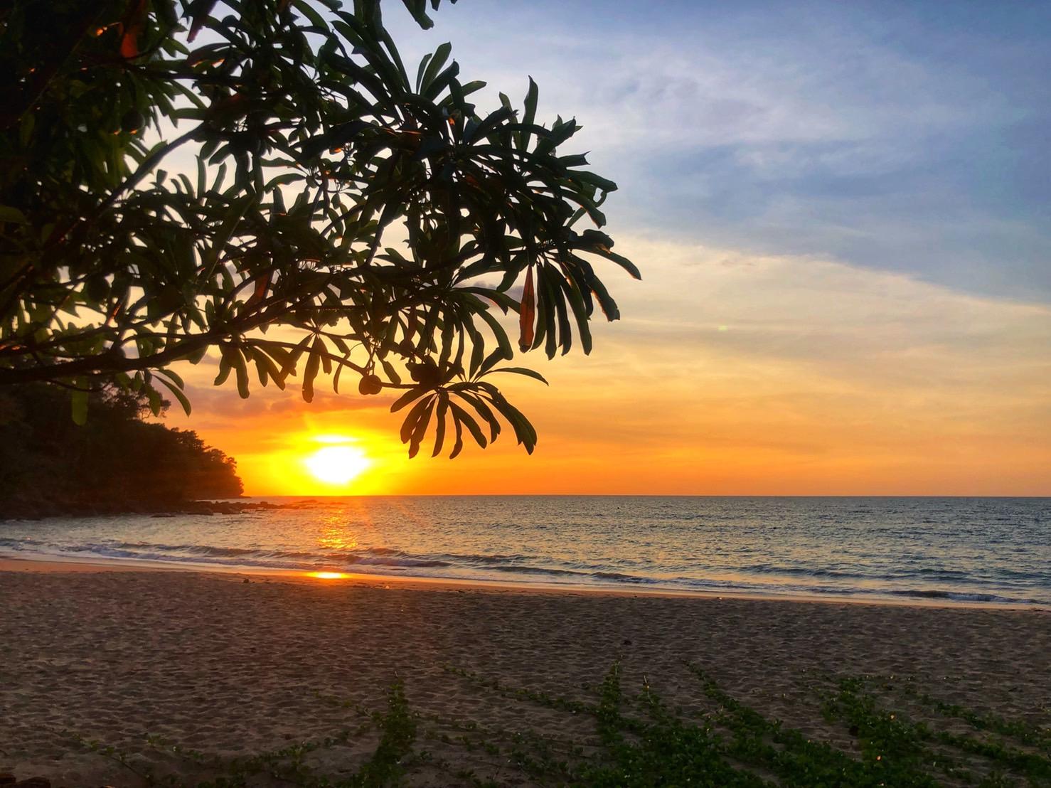 Khaolak Palm Khao Lak