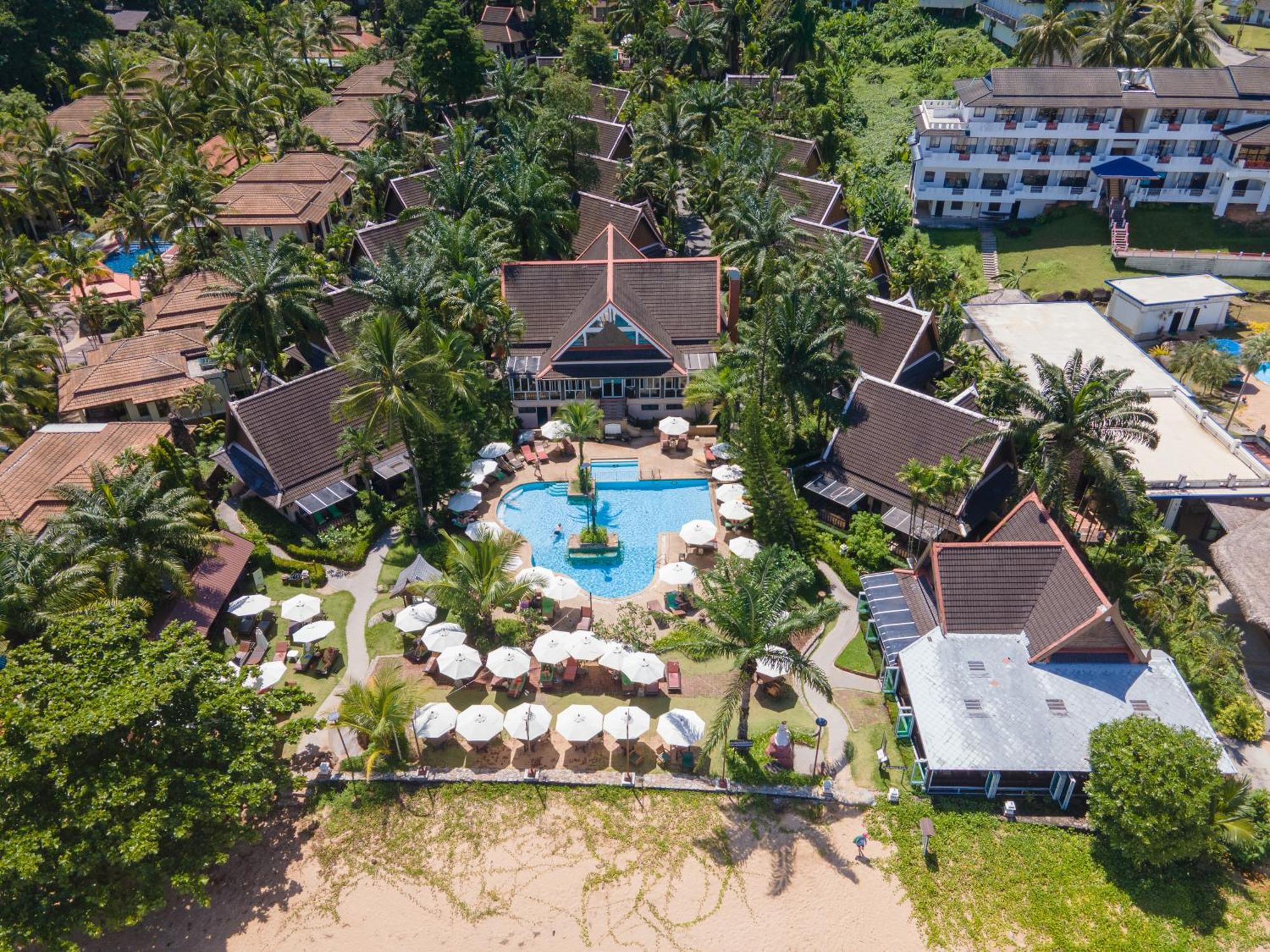 Khaolak Palm