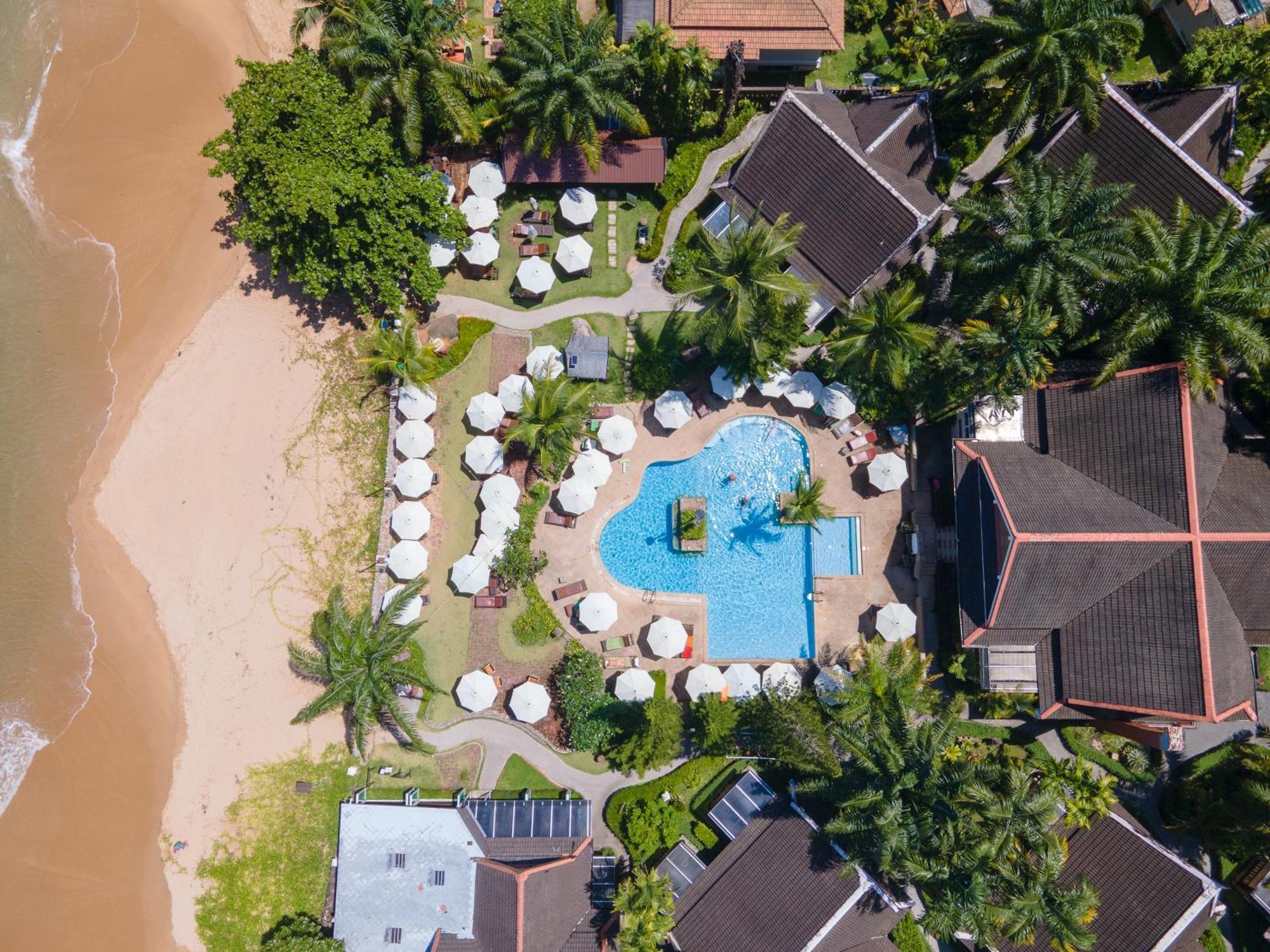 Khaolak Palm